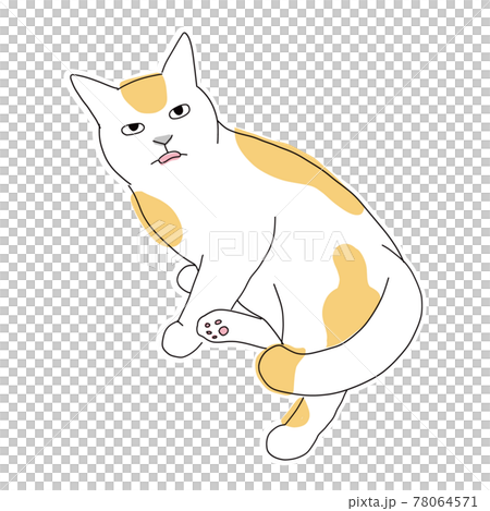 Full-body illustration of a cat, a brown-white cat with a tongue sticking out 78064571