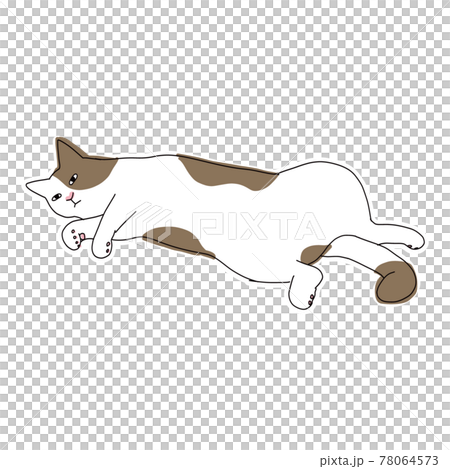 猫の全身イラスト　寝転がる茶白の猫 78064573