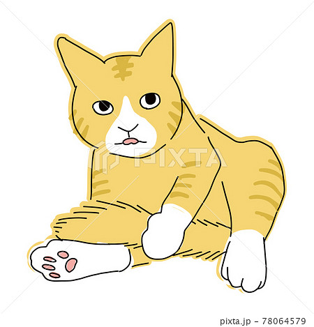 猫の全身イラスト しっぽの毛づくろいをしている茶虎猫のイラスト素材