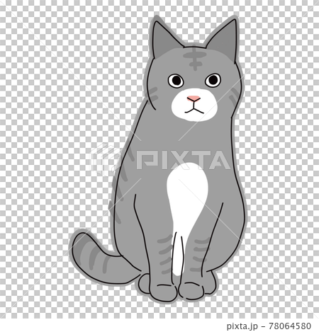 猫の全身イラスト　お座りしているサバ柄の猫 78064580