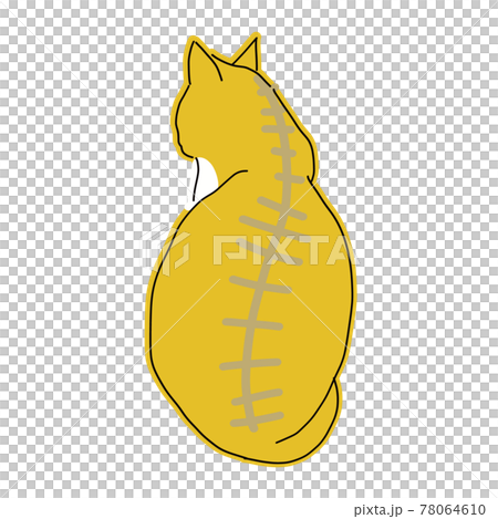 一隻貓的全身圖，一隻坐著的貓的後視圖 78064610