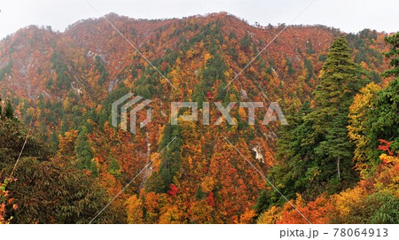 青森 白神山地 紅葉した山 青森 白神山地 紅葉した山 78064913