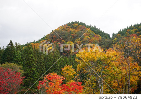 青森 白神山地 紅葉した山 78064923
