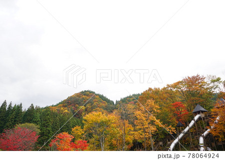 青森 白神山地 紅葉した山 78064924
