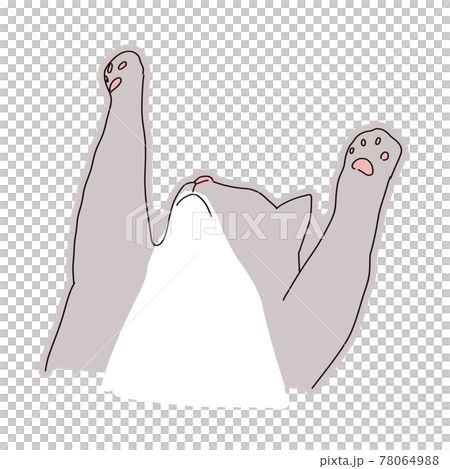 Illustration of a cat: A cat sleeping in a Banzai pose Illustration of a cat: A cat sleeping in a Banzai pose 78064988