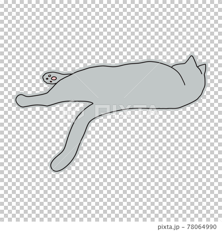 猫の全身イラスト 寝転がる猫の後ろ姿 猫の全身イラスト 寝転がる猫の後ろ姿 78064990