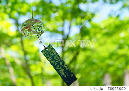 爽やかな緑の森の風鈴 78065099