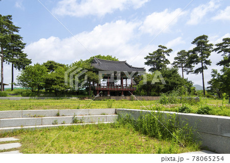 晴れ 植物 建物 78065254