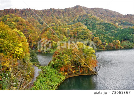 青森 白神山地 美山湖の紅葉 78065367
