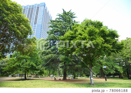 戸山公園 戸山公園 78066188