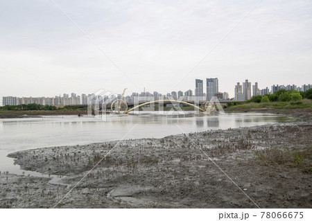 風景 公園 夏 78066675