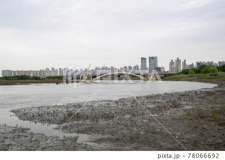 風景 公園 夏 78066692