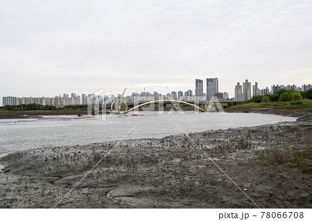 風景 公園 夏 78066708