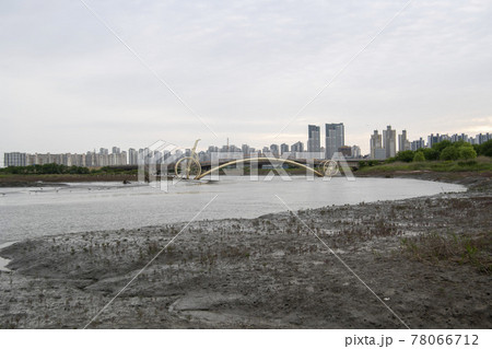 風景 公園 夏 78066712