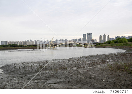 風景 公園 夏 78066714