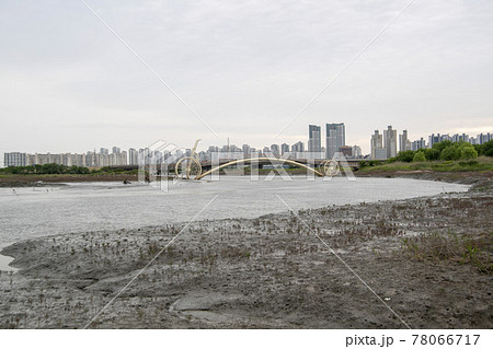 風景 公園 夏 78066717