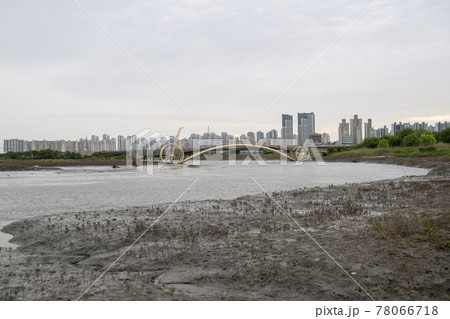 風景 公園 夏 78066718