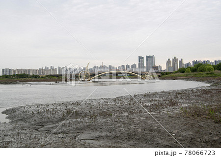 風景 公園 夏 78066723