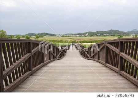 公園 葦 夏 78066743