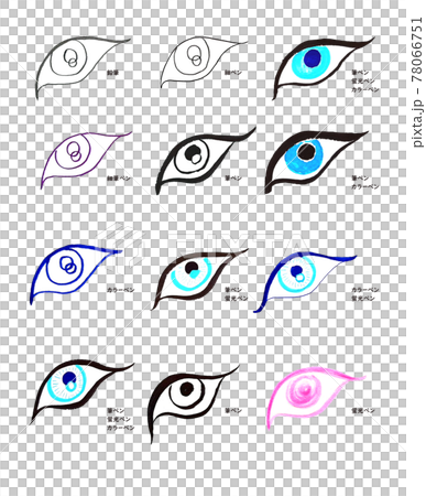 手描き動物（野獣）の目 78066751