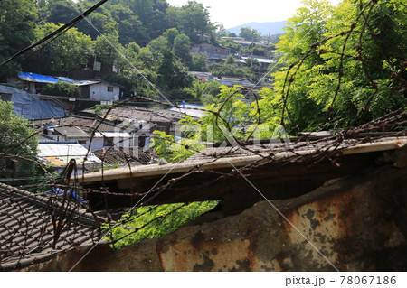 花 災害 木 78067186