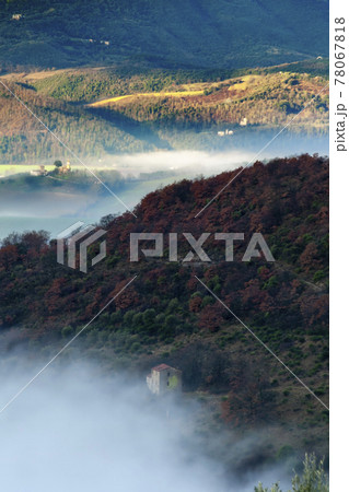 Trees hidden by the fog in winter. Trees hidden by the fog in winter. 78067818
