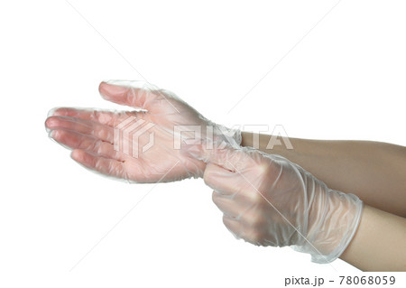Female hands in disposable gloves isolated on white background Female hands in disposable gloves isolated on white background 78068059