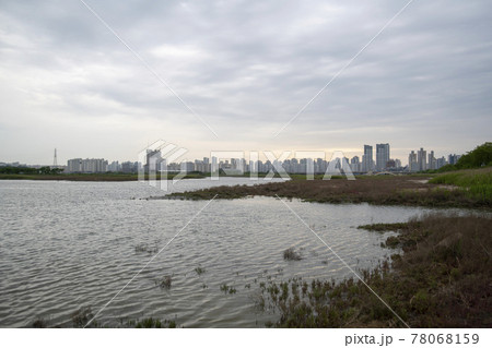 風景 公園 夏 78068159