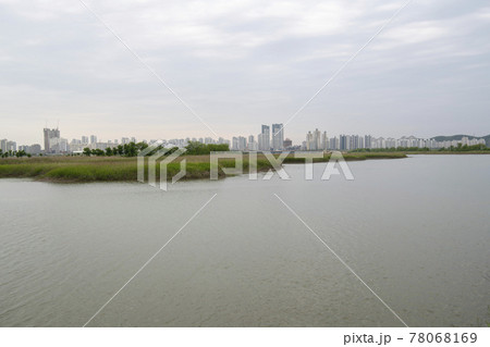 風景 公園 夏 78068169