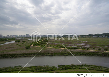 風景 公園 夏 78068240
