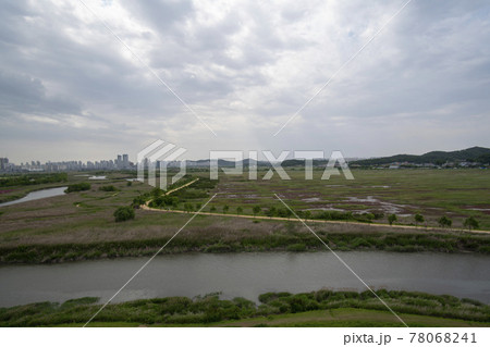 風景 公園 夏 78068241