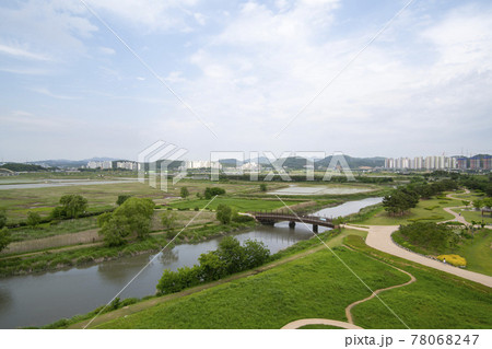 風景 公園 夏 78068247