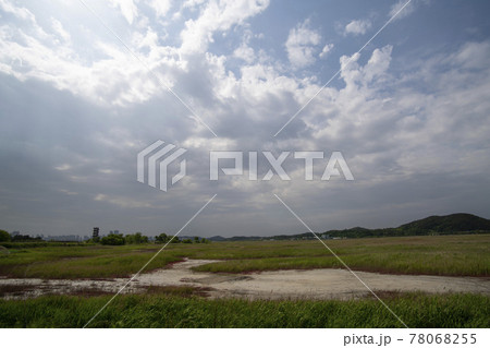 風景 公園 夏 78068255