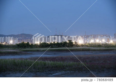 風景 公園 夜景 78068489