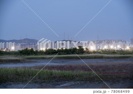 風景 公園 夜景 78068499