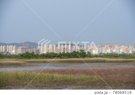 風景 公園 夜景 78068519