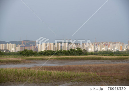 自然 風景 韓国 78068520