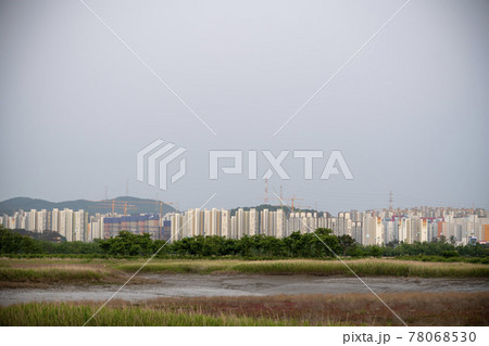 自然 風景 韓国 78068530