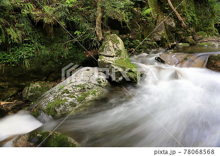 瀬戸の滝 78068568