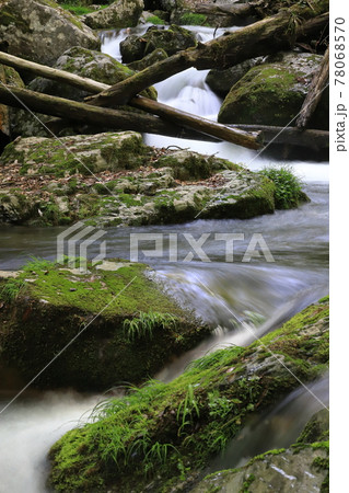 瀬戸の滝 78068570