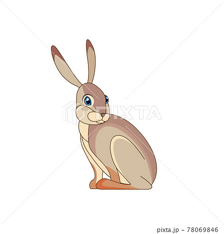 A beautiful jackrabbit Lepus californicus or American desert hare sits. Scene from wild. Cartoon character vector flat illustration isolated on a white background 78069846