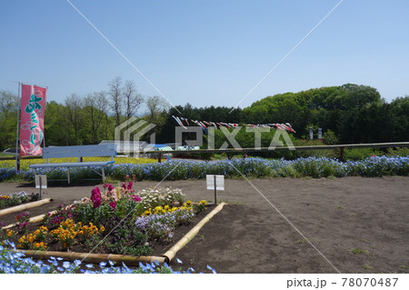 鼻高展望花の丘の風景 鼻高展望花の丘の風景 78070487