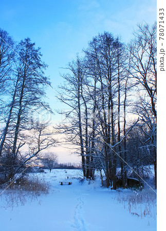Winter landscape in Latvia, East Europe Winter landscape in Latvia, East Europe 78071433