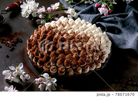 Homemade gluten free tiramisu traditional italian dessert Homemade gluten free tiramisu traditional italian dessert 78071670