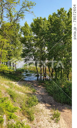 Nature and empty beach on the river. Preparing for the summer season. Reflection of trees in the water. 78072604