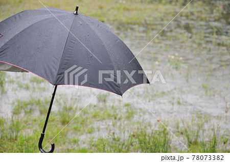 雨に濡れた撥水加工の黒い雨傘 78073382
