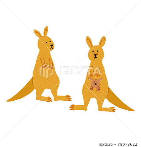 カンガルー オーストラリアの動物のイラスト素材