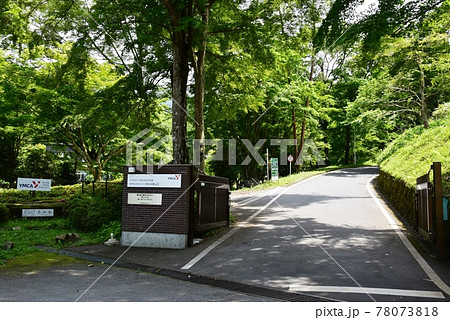 御殿場市　国際青少年センターYMCA東山荘の正門と新緑 78073818