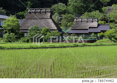 美山　田植えと茅葺き民家　【京都府】 78074462