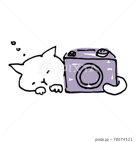 眠っている猫とカメラのイラストのイラスト素材